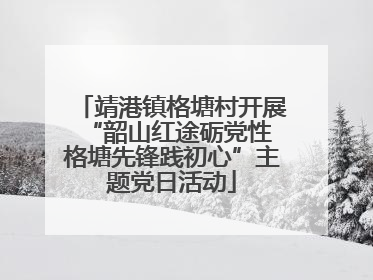 靖港镇格塘村开展“韶山红途砺党性 格塘先锋践初心”主题党日活动