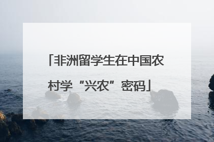 非洲留学生在中国农村学“兴农”密码