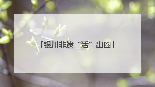 银川非遗“活”出圈