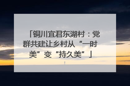 铜川宜君东湖村：党群共建让乡村从“一时美”变“持久美”