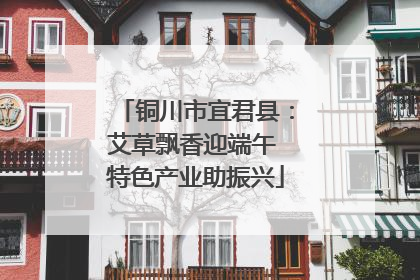 铜川市宜君县：艾草飘香迎端午 特色产业助振兴