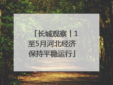 长城观察丨1至5月河北经济保持平稳运行