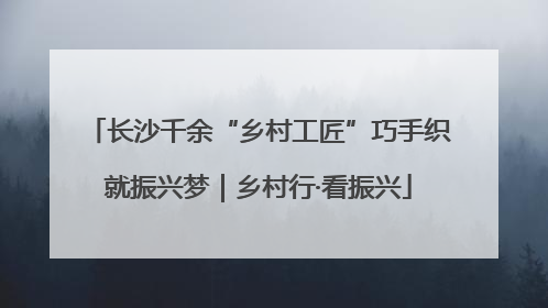 长沙千余“乡村工匠”巧手织就振兴梦｜乡村行·看振兴