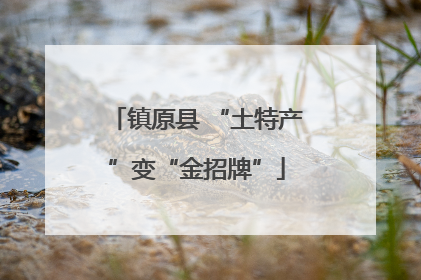 镇原县 “土特产”变“金招牌”