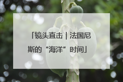 镜头直击｜法国尼斯的“海洋”时间