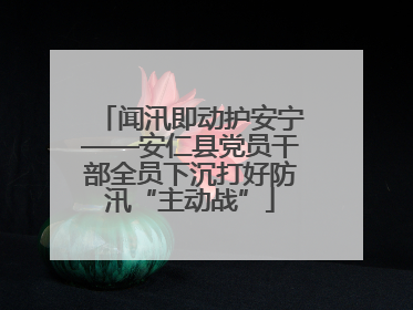 闻汛即动护安宁——安仁县党员干部全员下沉打好防汛“主动战”