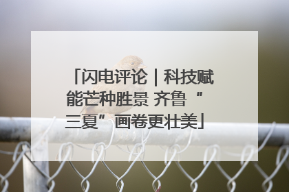 闪电评论｜科技赋能芒种胜景 齐鲁“三夏”画卷更壮美