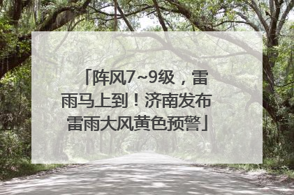 阵风7~9级，雷雨马上到！济南发布雷雨大风黄色预警