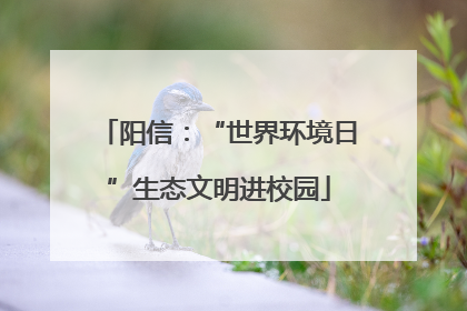 阳信：“世界环境日”生态文明进校园
