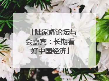 陆家嘴论坛与会嘉宾：长期看好中国经济