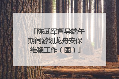 陈武军督导端午期间游划龙舟安保维稳工作（图）