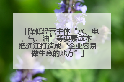 降低经营主体“水、电、气、油”等要素成本 把通江打造成“企业容易做生意的地方”