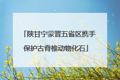陕甘宁蒙晋五省区携手保护古脊椎动物化石