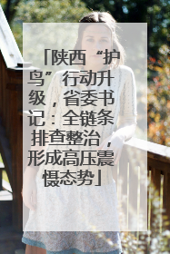 陕西“护鸟”行动升级，省委书记：全链条排查整治，形成高压震慑态势