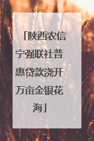 陕西农信宁强联社普惠贷款浇开万亩金银花海