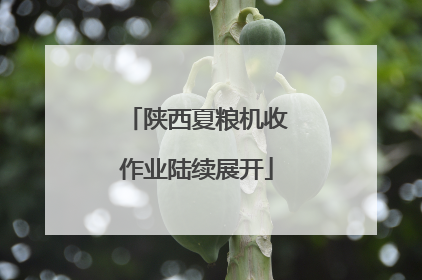 陕西夏粮机收作业陆续展开