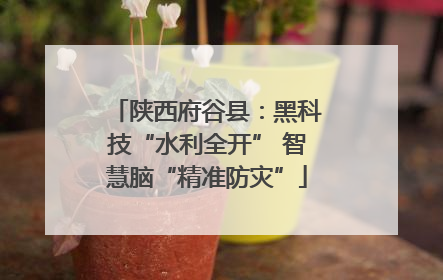 陕西府谷县：黑科技“水利全开” 智慧脑“精准防灾”