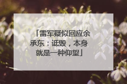 雷军疑似回应余承东：诋毁，本身就是一种仰望