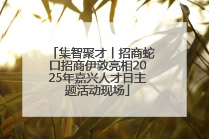集智聚才丨招商蛇口招商伊敦亮相2025年嘉兴人才日主题活动现场