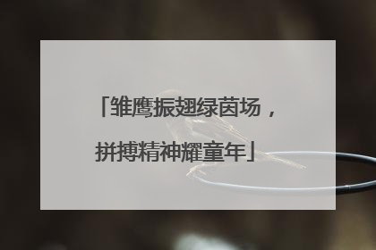 雏鹰振翅绿茵场，拼搏精神耀童年