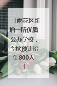 雨花区新增一所优质公办学校，今秋预计招生800人