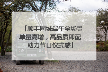 顺丰同城端午全场景单量高增，高品质即配助力节日仪式感