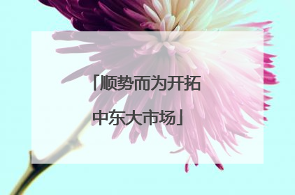 顺势而为开拓中东大市场