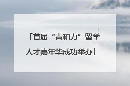 首届“青和力”留学人才嘉年华成功举办