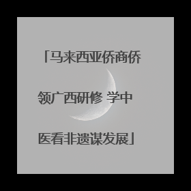 马来西亚侨商侨领广西研修 学中医看非遗谋发展