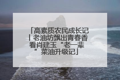 高素质农民成长记丨老油坊飘出青春香 看肖建玉“老一辈”菜油升级记