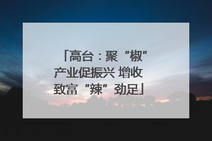 高台：聚“椒”产业促振兴 增收致富“辣”劲足