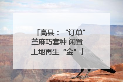高县：“订单”苎麻巧套种 闲置土地再生“金”