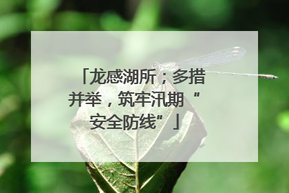龙感湖所；多措并举，筑牢汛期“安全防线”