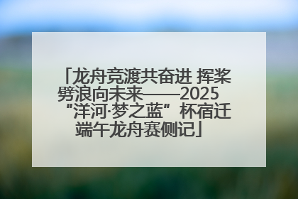 龙舟竞渡共奋进 挥桨劈浪向未来——2025“洋河·梦之蓝”杯宿迁端午龙舟赛侧记