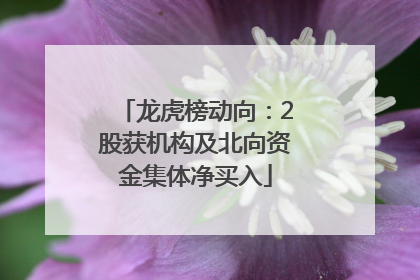 龙虎榜动向：2股获机构及北向资金集体净买入