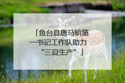 鱼台县唐马镇第一书记工作队助力“三夏生产”