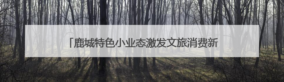 鹿城特色小业态激发文旅消费新活力 小剧场打开老城新天地