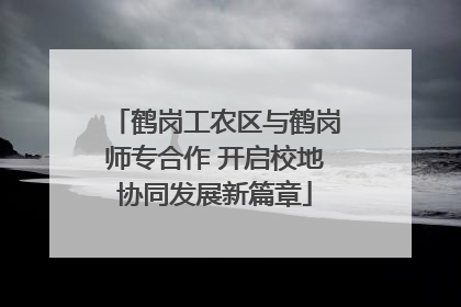 鹤岗工农区与鹤岗师专合作 开启校地协同发展新篇章