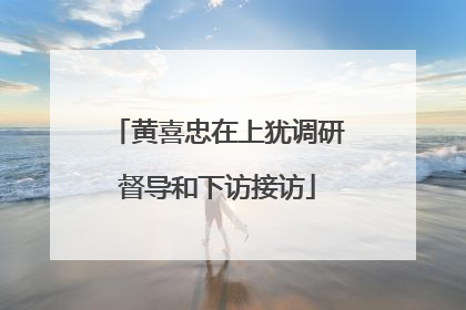 黄喜忠在上犹调研督导和下访接访