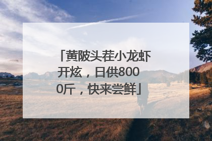 黄陂头茬小龙虾开炫，日供8000斤，快来尝鲜
