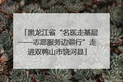黑龙江省“名医走基层——志愿服务边疆行”走进双鸭山市饶河县