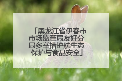 黑龙江省伊春市市场监管局友好分局多举措护航生态保护与食品安全