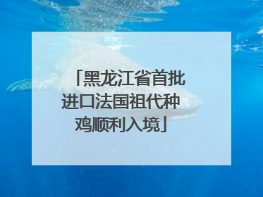 黑龙江省首批进口法国祖代种鸡顺利入境