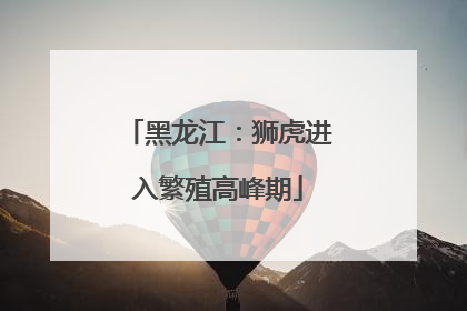 黑龙江：狮虎进入繁殖高峰期