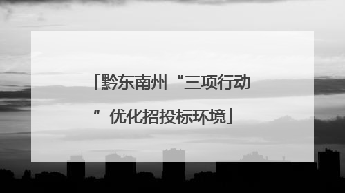 黔东南州“三项行动”优化招投标环境