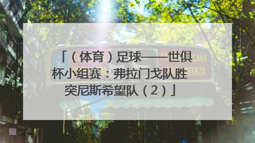 （体育）足球——世俱杯小组赛：弗拉门戈队胜突尼斯希望队（2）