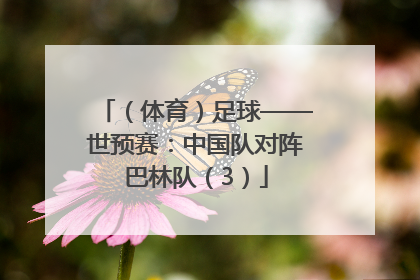 （体育）足球——世预赛：中国队对阵巴林队（3）