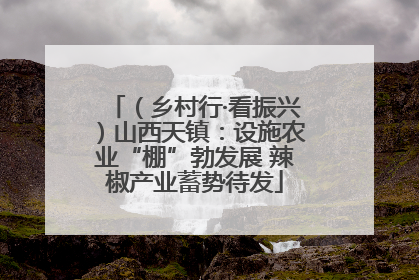 （乡村行·看振兴）山西天镇：设施农业“棚”勃发展 辣椒产业蓄势待发