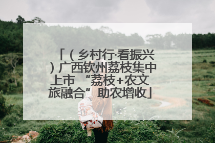 （乡村行·看振兴）广西钦州荔枝集中上市 “荔枝+农文旅融合”助农增收