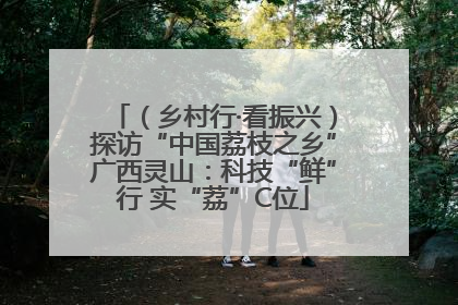 （乡村行·看振兴）探访“中国荔枝之乡”广西灵山：科技“鲜”行 实“荔”C位